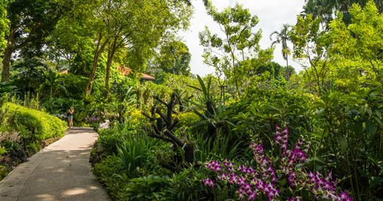 ボタニック・ガーデン