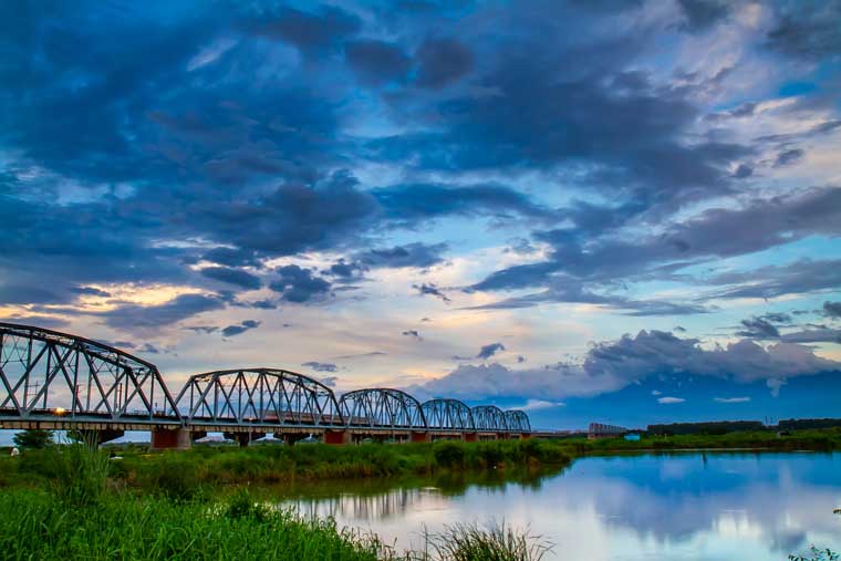 旧鉄橋湿地教育園区