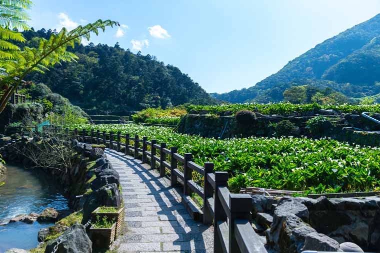 陽明山・陽明山国家公園