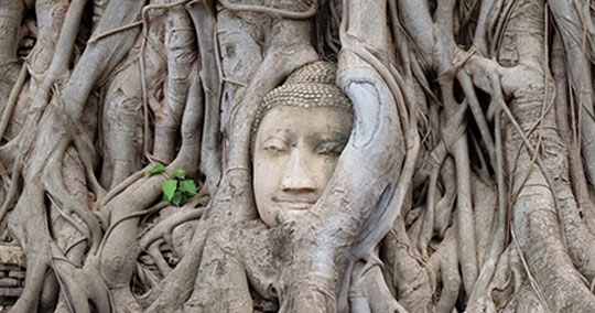 アユタヤ世界遺産