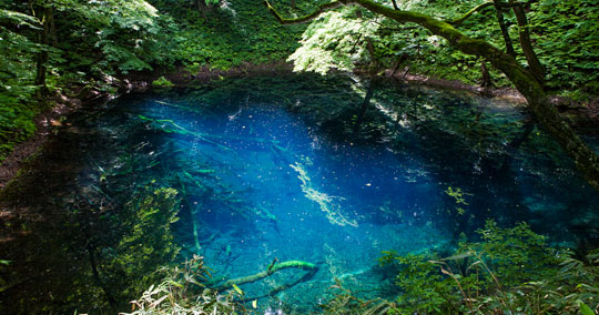 十二湖（青池）