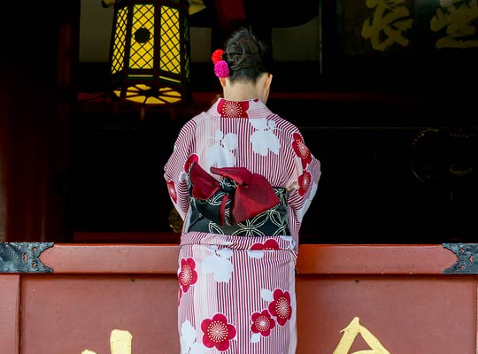 レンタル着物イメージ