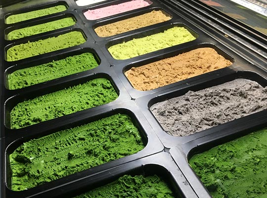 壽々喜園(すずきえん) 浅草本店