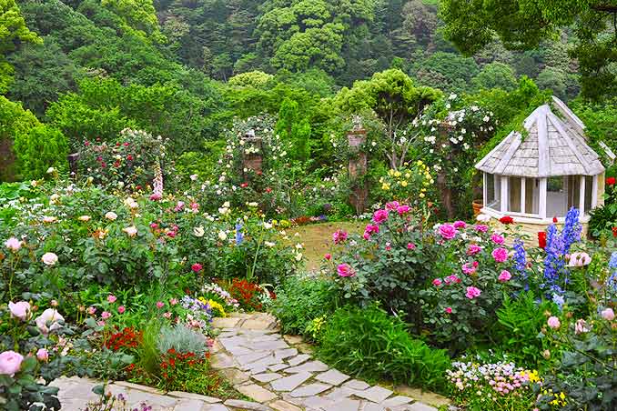 アカオハーブ&ローズガーデン