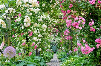 アカオハーブ&ローズガーデン