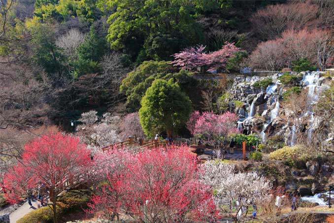 熱海梅園