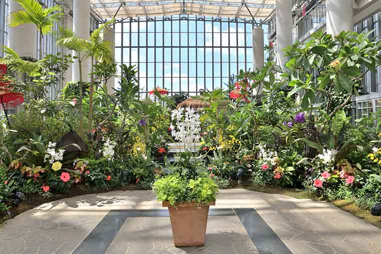 淡路夢舞台 奇跡の星の植物館