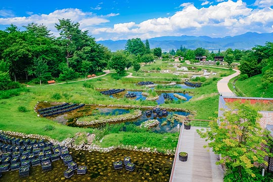 国営アルプスあづみの公園(堀金・穂高地区)