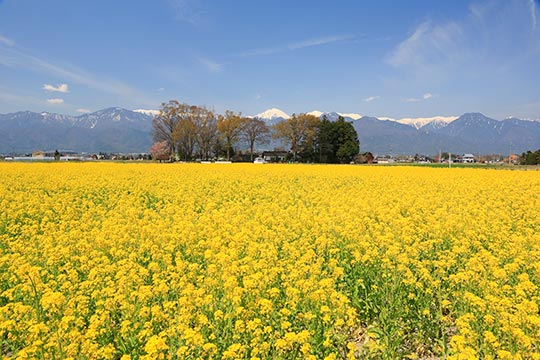 安曇野スイス村