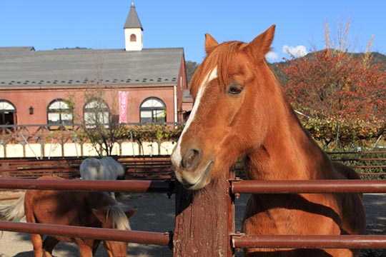 安曇野スイス村
