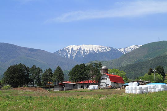北アルプス牧場