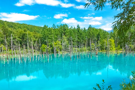 白金・青い池