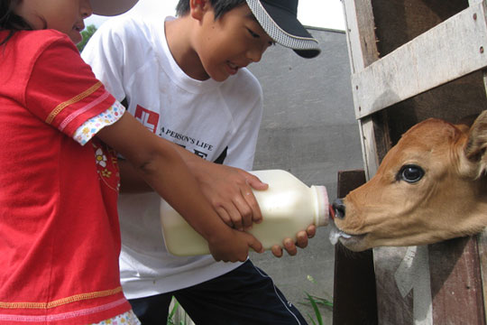 ファームズ千代田ふれあい牧場