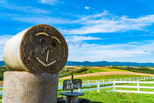 新栄の丘展望公園