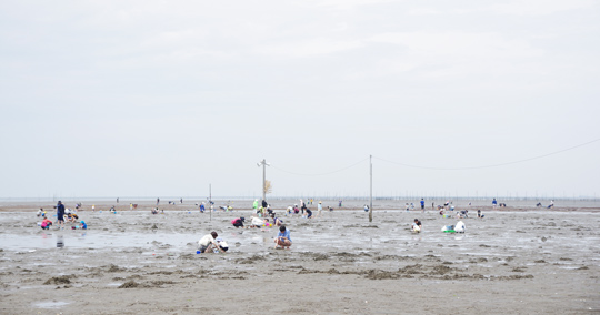 富津海岸潮干狩り場