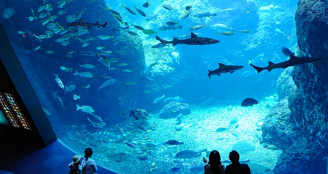 新江ノ島水族館