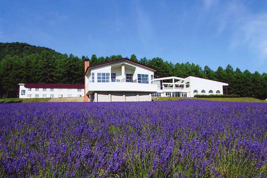 ハイランドふらの 「ラベンダーのうみ」