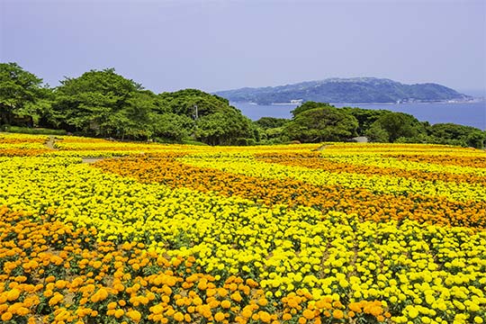 のこのしまアイランドパーク