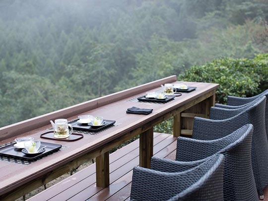 奥日田温泉 うめひびき