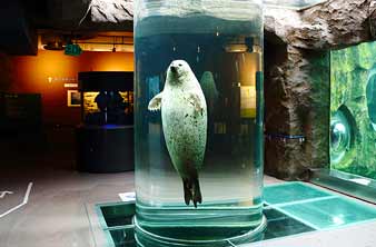 旭川市旭山動物園