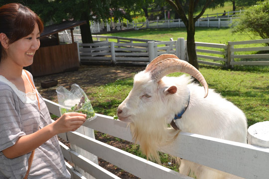 伊香保グリーン牧場