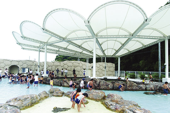 磯体験施設 海ほおずき