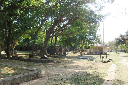 伊野田キャンプ場