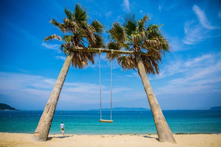 ヤシの木ブランコ