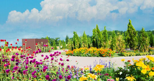 フラワー＆ガーデン森の風