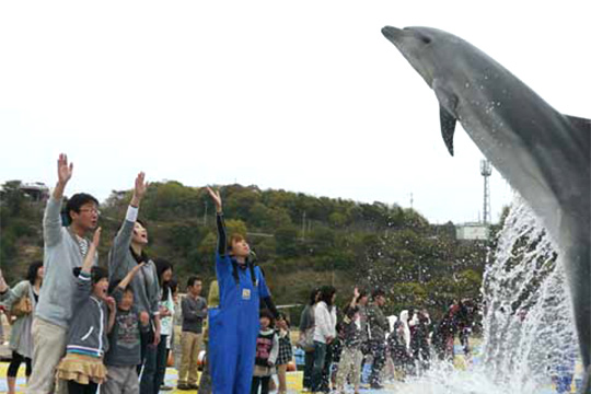 日本ドルフィンセンター