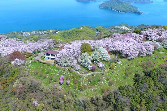 紫雲出山（しうでやま）