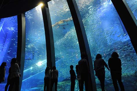 八景島シーパラダイス