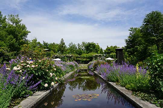 軽井沢レイクガーデン