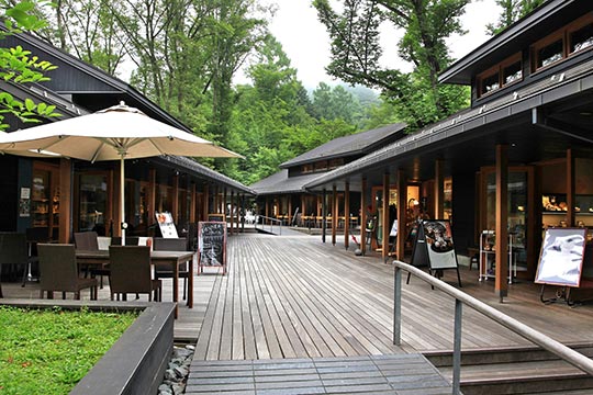 ハルニレテラス