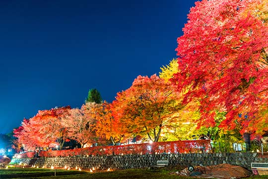 富士河口湖紅葉まつり