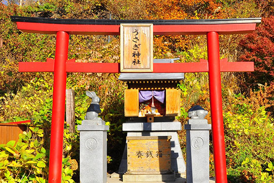 うさぎ神社