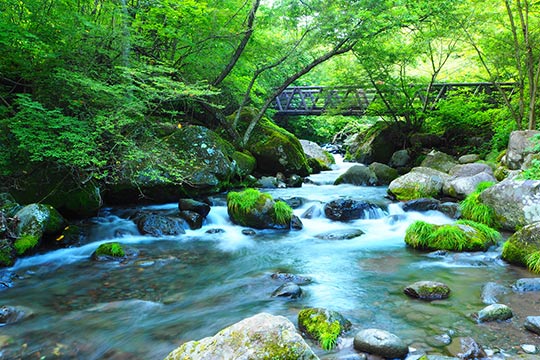 吐竜の滝（どりゅうのたき）