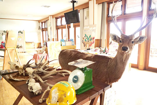 山梨県立八ケ岳自然ふれあいセンター