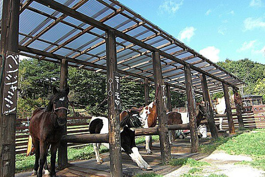 清里ポニー牧場