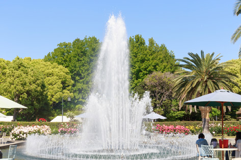 神戸市立須磨離宮公園