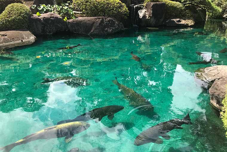 甲斐善光寺の池