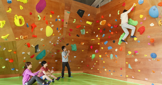 クライミングパーク菊南