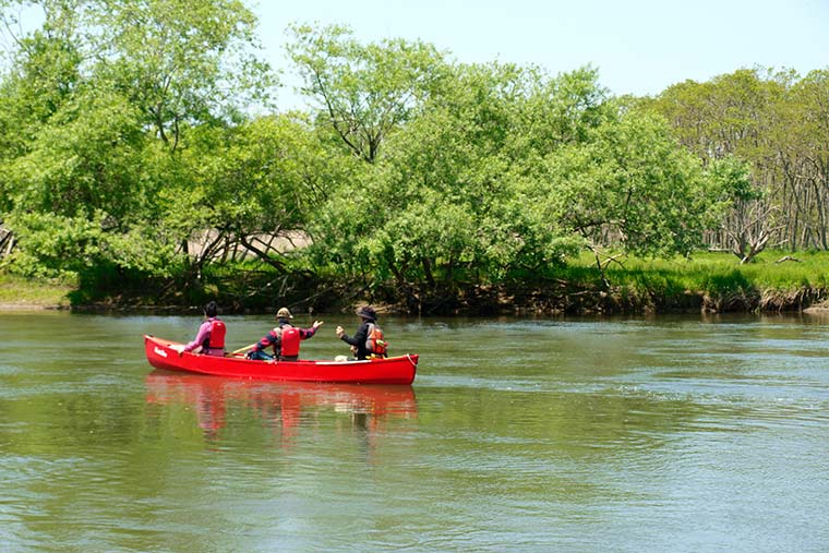 湿原アクティビティ