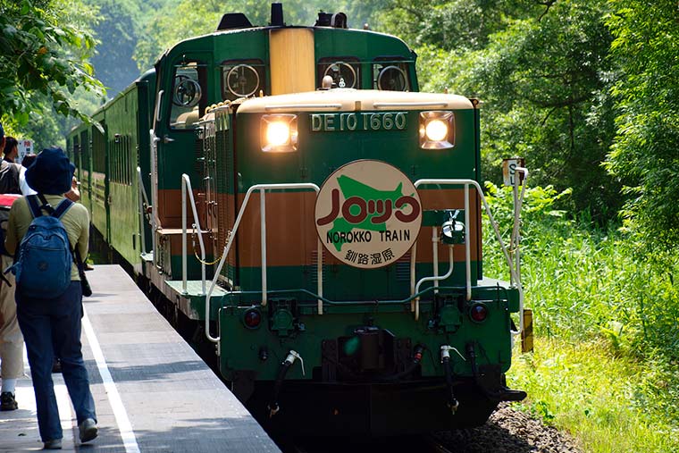 くしろ湿原ノロッコ号