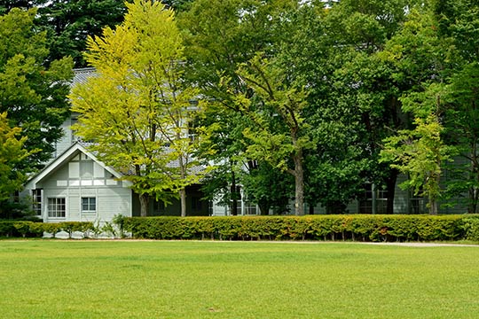 あがたの森公園