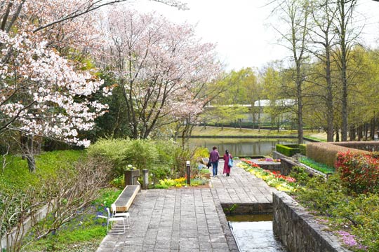 水戸市植物公園