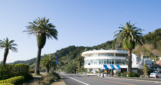 道の駅フェニックス