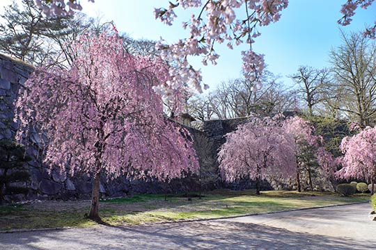 盛岡城跡公園（岩手公園）