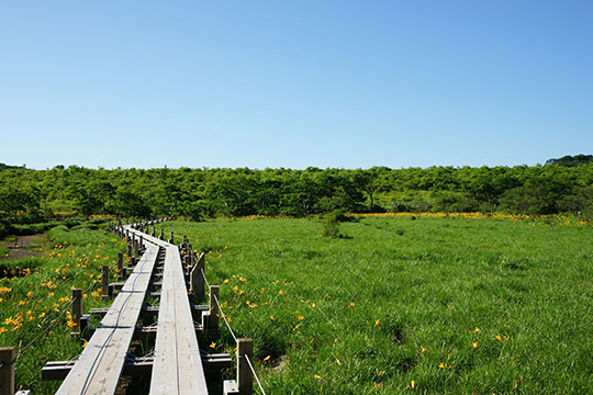 沼ッ原湿原（ぬまっぱらしつげん）