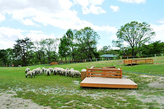 那須どうぶつ王国